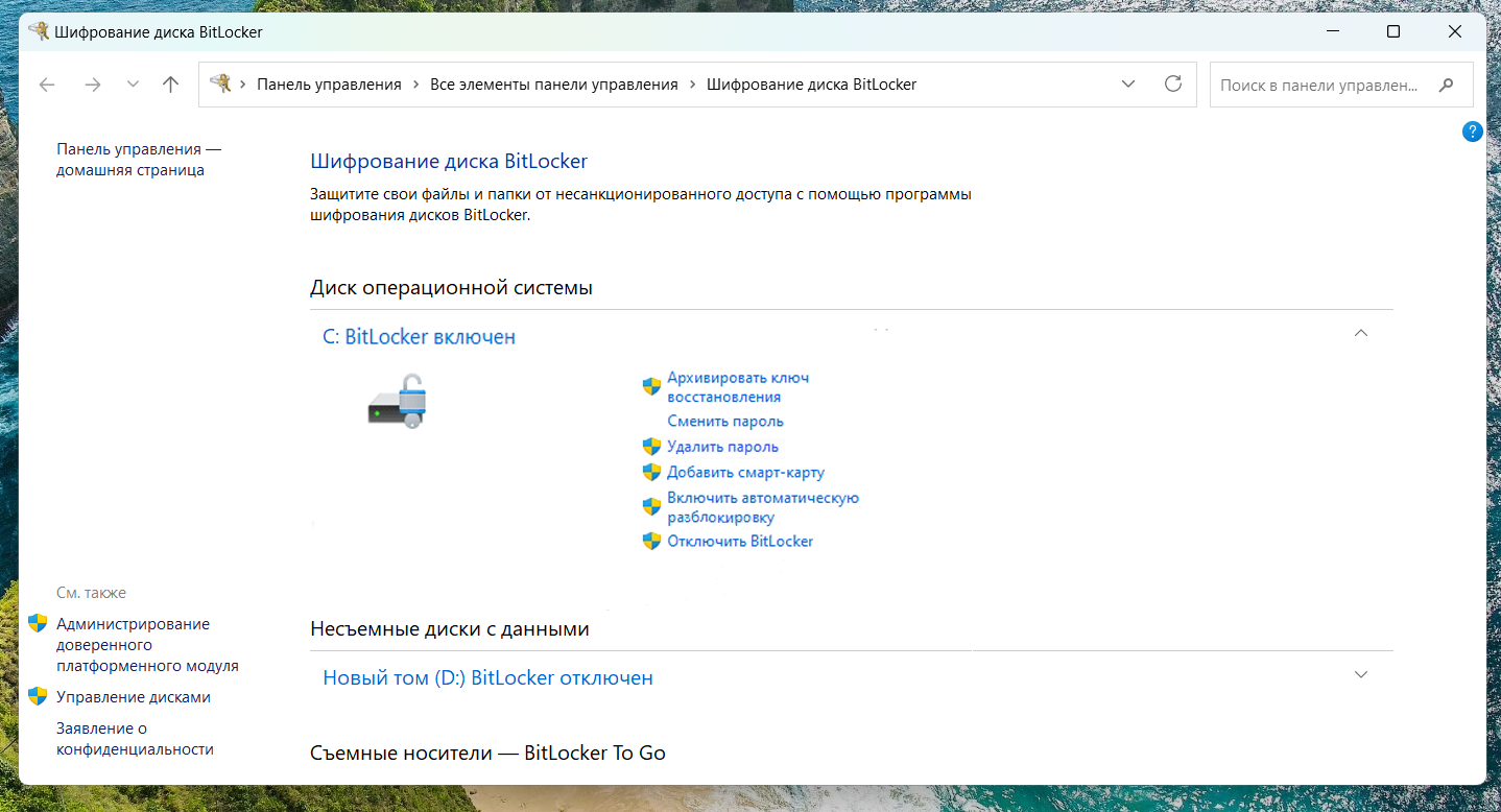Окно Управление BitLocker с включенным шифрованием дисков